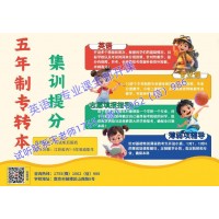 幼儿发展与健康管理五年制专转本辅导班：课程培训+志愿填报