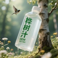 桦树汁代加工无菌冷灌装PET瓶