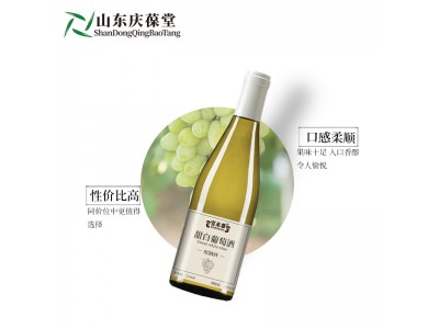 甜白葡萄酒果蔬酒源头厂家定制159O5373071图1