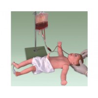 益联医学婴儿全身静脉穿刺模型