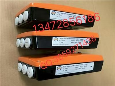 德国依博罗EBRO开关盒SBU-限位开关图1